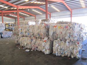 HDPE Milk Bottles Scrap