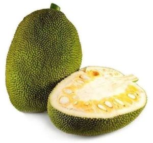 Fresh Jackfruit, Color : Green 7-10 Days, Packaging Type : Plastic Bag