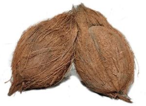 Natural Semi Husked Coconut, Packaging Type : Gunny Bags, Speciality : Freshness, Easily Affordable