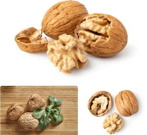 walnuts