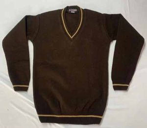 School Full Sleeves Brown Sweater