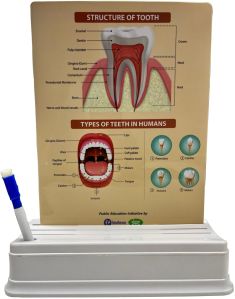 Medical Write & Wipe Stand