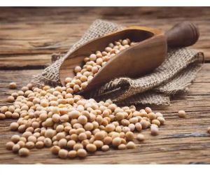 Artkevel 1kg Dry Soybean Seeds For Human Consumption