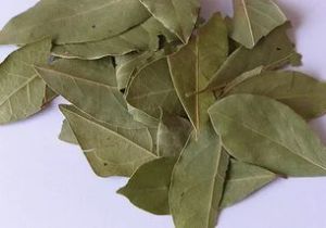 Bay Leaf For Cooking