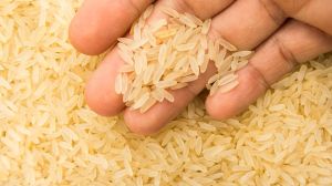 Indian Parboiled Basmati Rice