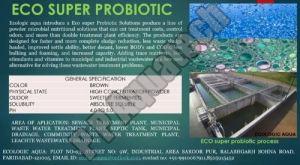 SUPER PROBIOTIC CULTURE