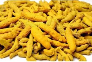 Dry Turmeric Finger