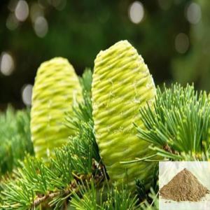 Devatharu Himalayan Cedar Powder