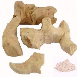 Parangi Pattai / China Root Powder