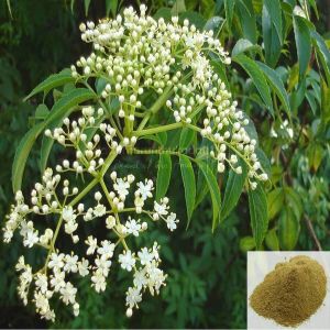 Neem Flower Powder For Ayurvedic Medicine, Herbal Medicines