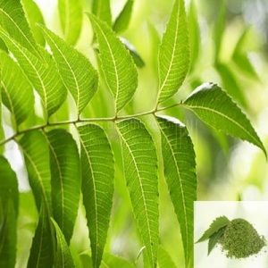 Veppilai / Neem Leaves Dried (raw)