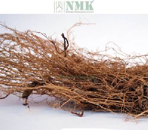 Vetiver / Coleus Vettiveroides Root (raw)