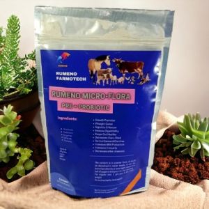 Rumeno Micro Flora Supplement For Animals