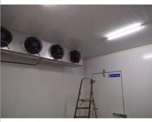 Blue Star Modular Cold Storage Room