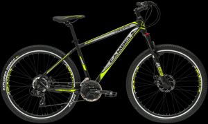 Chester Bicycle