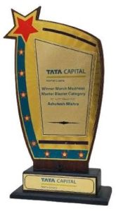 Custom Corporate Trophy Awards