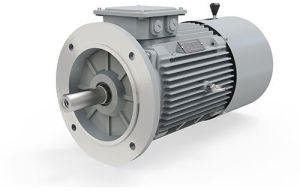 ie2 415 V 4 Pole 3 Phase Brake Motor