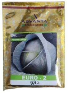 Ankur Hritu Beans Seeds, Color : Green, Packaging Type : Packet For Agriculture