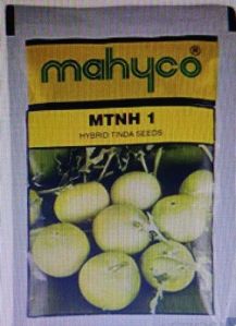 Mahyco Mtnh 1 Hybrid Tinda Seeds, Packaging Type : Plastic Packets, Packaging Size : 50gm For Agricultural