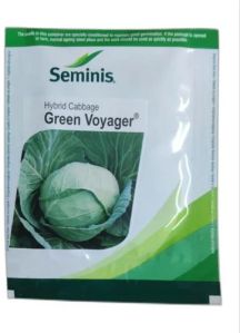 Seminis Green Voyager Cabbage Seeds, Packaging Type : Packet For Agriculture