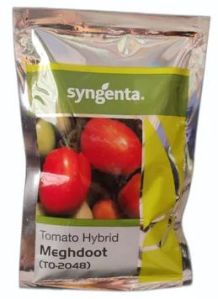 Syngenta TO-2048 Meghdoot Tomato Hybrid Seeds, Packaging Size : 56 Gm, Packaging Type : Packet