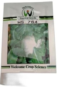 Welcome Ws 764 Cauliflower Seeds, Packaging Type : Plastic Packet, Packaging Size : 10 Gm