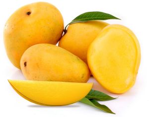 Organic Fresh Alphonso Mango, Color : Yellow 3-5 Days, Packaging Size : 5-50kg