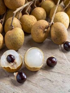 Longan Fruit Plant