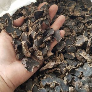 Dried Black Ginger