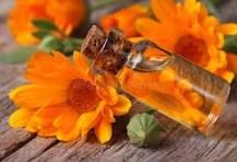 Calendula (Infused) Oil