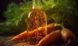 Carrot Seed Oil, Form : Liquid, Packaging Type : Glass Bottels For Medicines