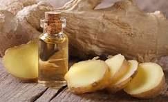 Ginger Oil, Color : Yellow, Packaging Type : Glass Bottles For Medicine