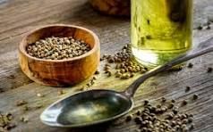 Hemp Seed Oil