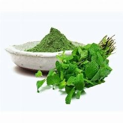 Organic Mint Leaf Powder Dried For Medicines Products