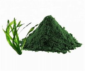 spirulina powder