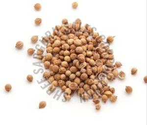 Natural Brown Coriander Seeds, Packaging Type : Paper Box, Plastic Packet For Cooking