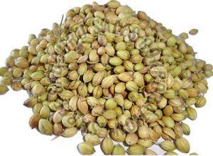 Natural Dried Coriander Seeds, Packaging Type : Paper Box, Plastic Packet, Plastic Pouch For Cooking