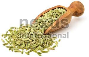 Natural Fennel Seed, Certification : FSSAI Certified