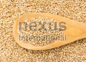 Natural Sesame Seed For Cooking