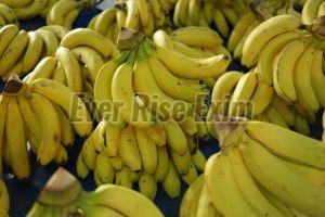 Organic Fresh Banana, Taste : Sweet