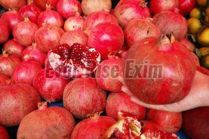 Organic Fresh Pomegranate For Human Consumption