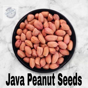 Natural Java Peanuts, Color : Brownish, Light Red Dried For Home, Industrial, Restaurant