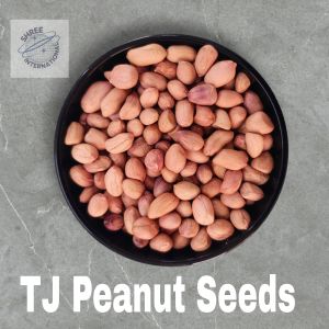 Tj Peanut Seeds