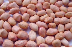 Natural Tj Raw Peanuts For Oil, Cooking