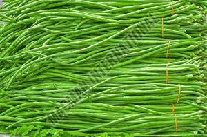 Asparagus Bean, Packaging Type : Net Bag