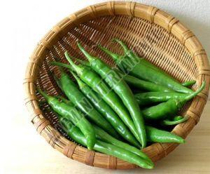 Green Chilli, Speciality : Optimum Freshness