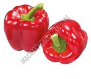 Red Bell Pepper For Cooking