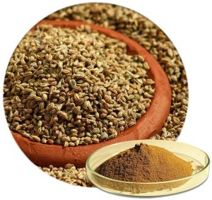 Ajwain Powder