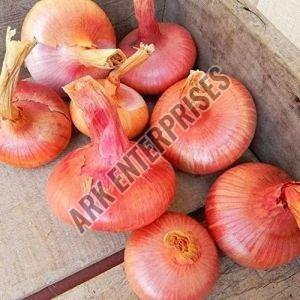 Raw Pink Onion 7-15 Days, Packaging Size : 5-50kg, Packaging Type : Plastic Bag