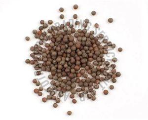 Brown Mustard Seeds For Spices